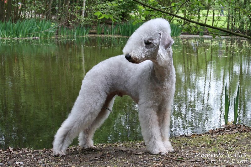 2010-05-01 Svet und Aveline (19).JPG